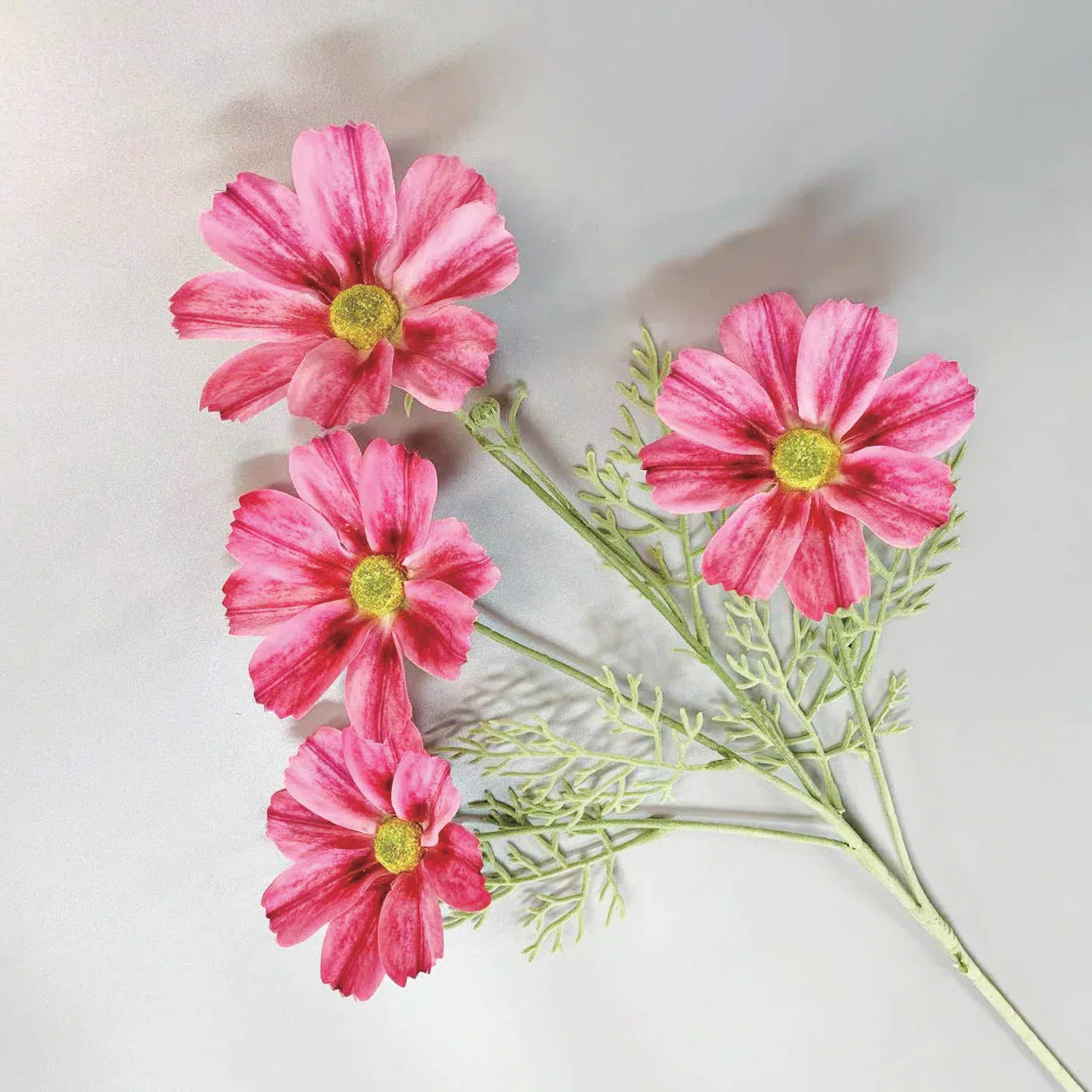 From Nature to Fingertips