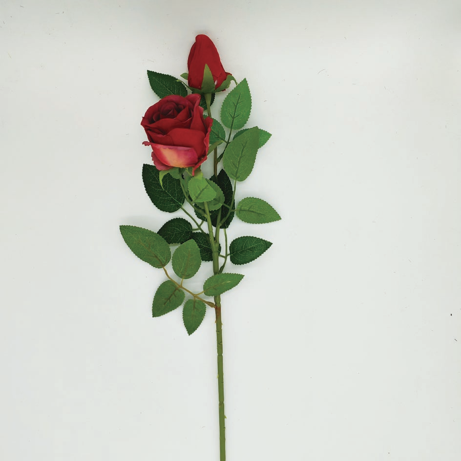 Double-headed Bulgarian rose-A1050
