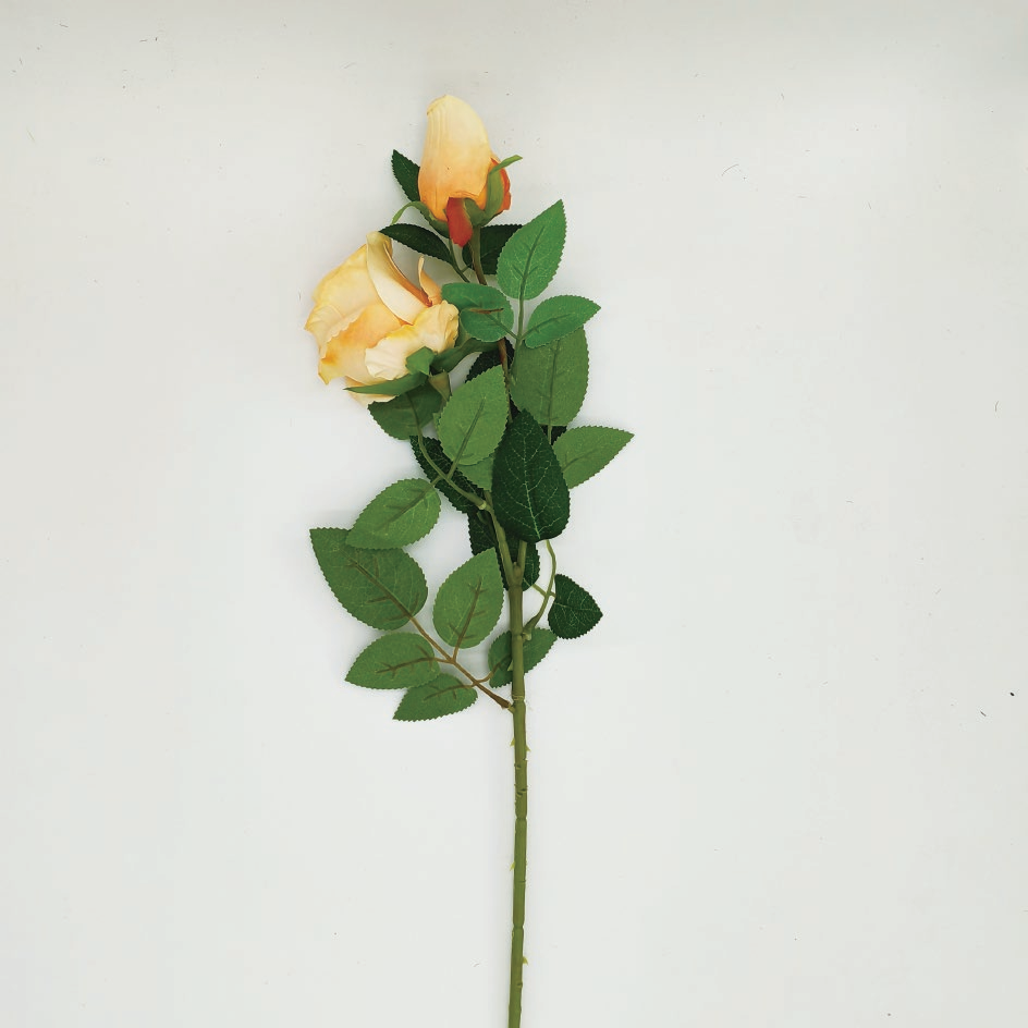 Double-headed Bulgarian rose-A1050