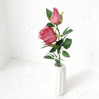 Rose double-headed Bulgarian A1050 - view 4