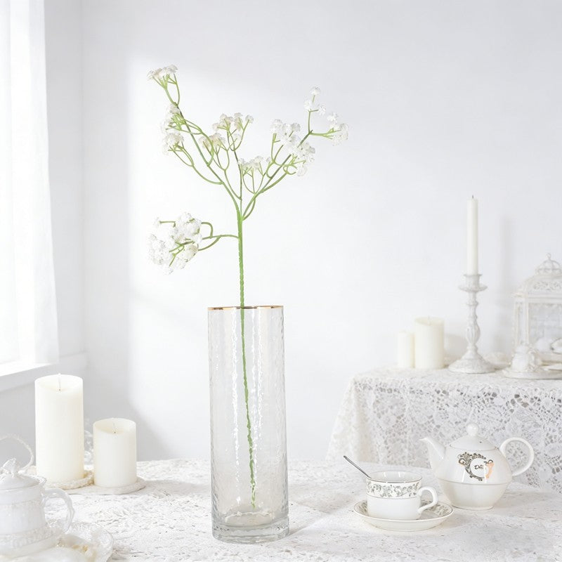 Gypsophila A25044