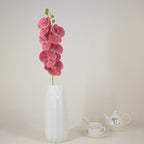 3D film butterfly orchid 6 heads B25021