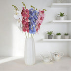Phalaenopsis 6 heads B25021