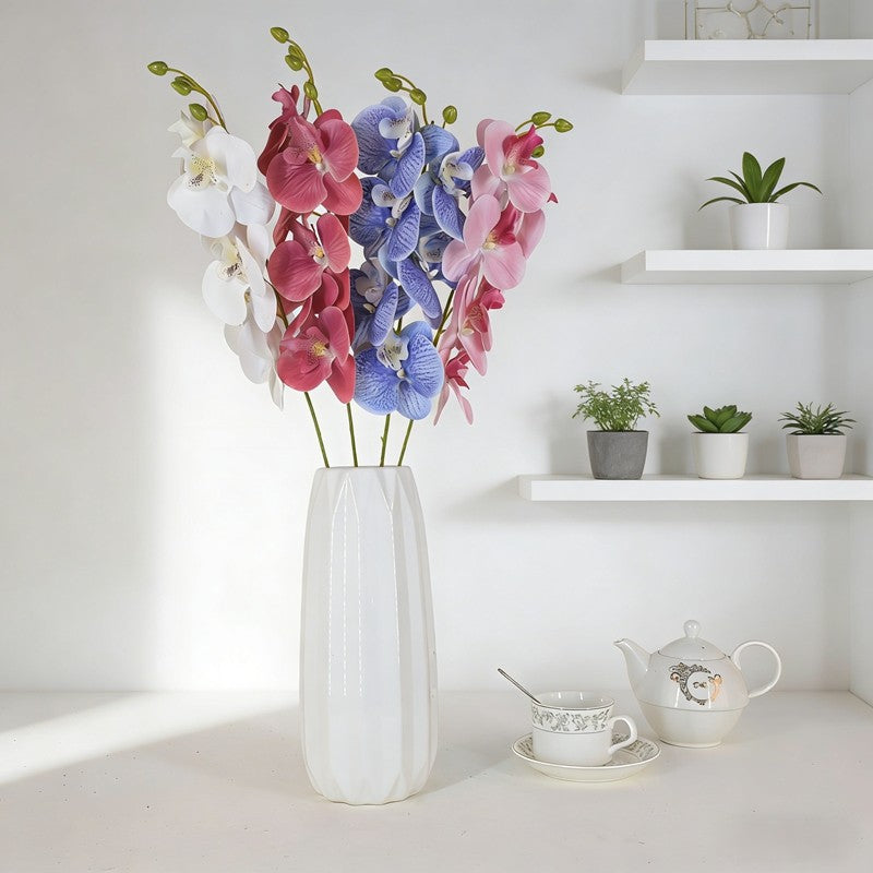 Phalaenopsis 6 heads B25021