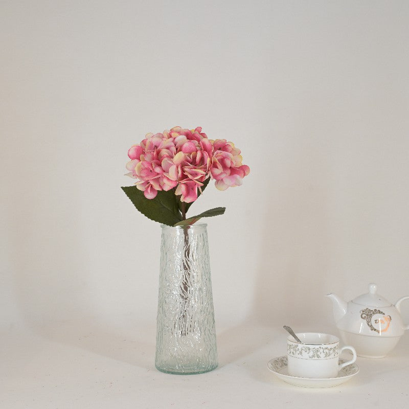 Hydrangea white CF005