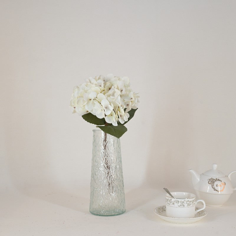 Hydrangea white CF005