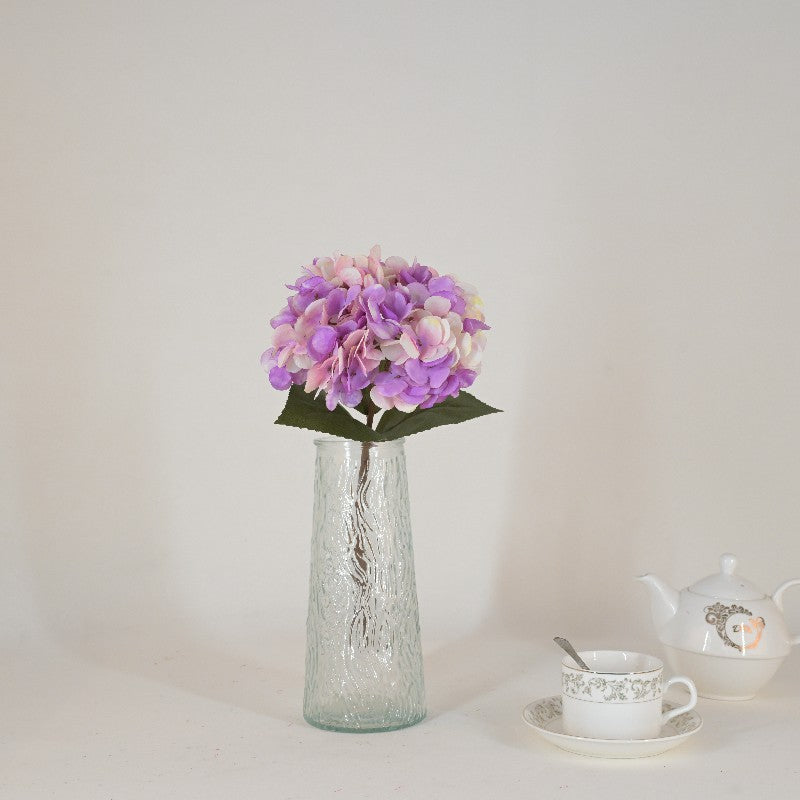 Hydrangea white CF005