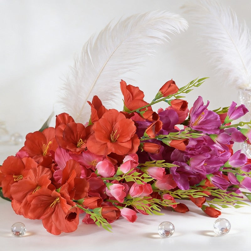 Gladiolus CF019
