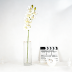 Cymbidium CF123
