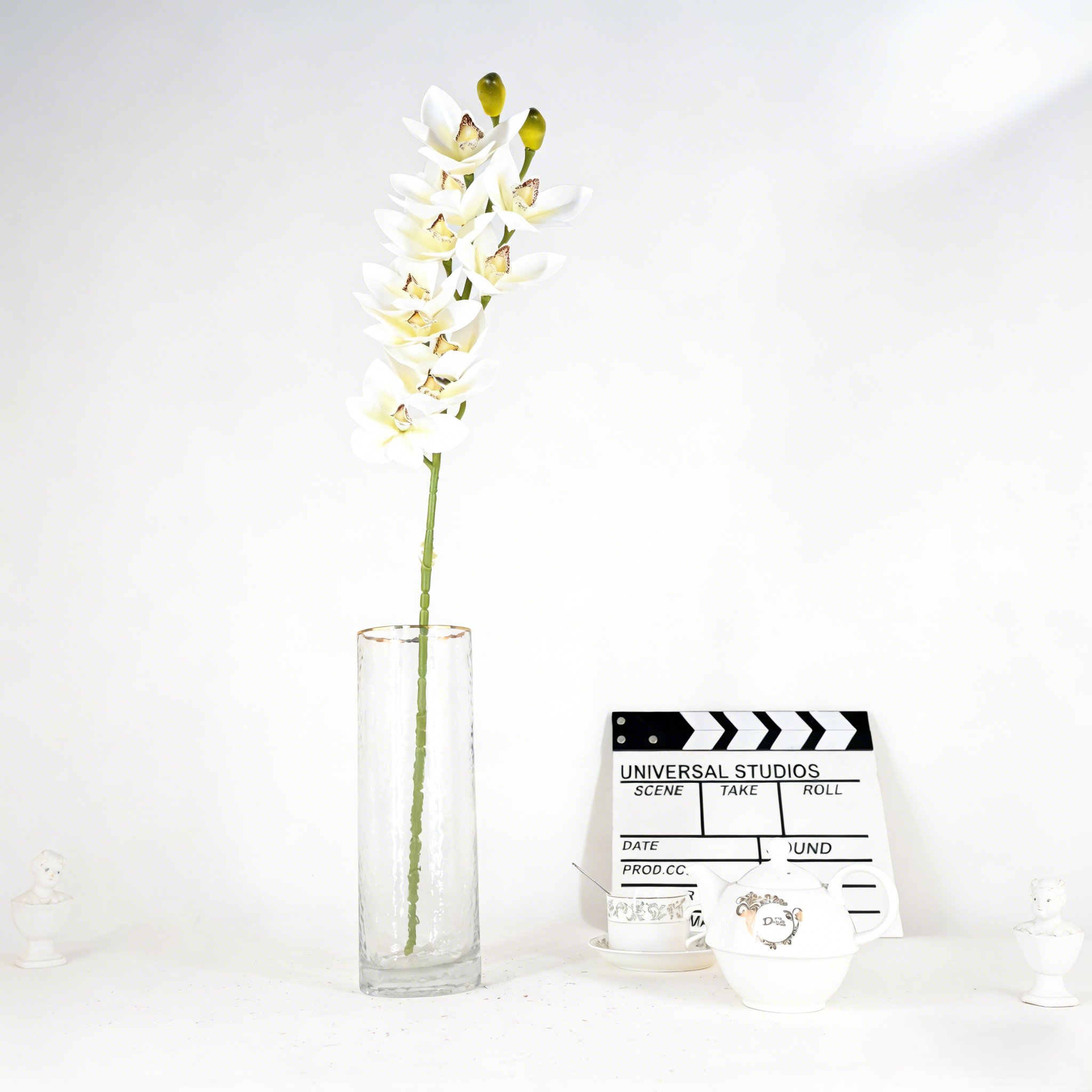 Cymbidium CF123