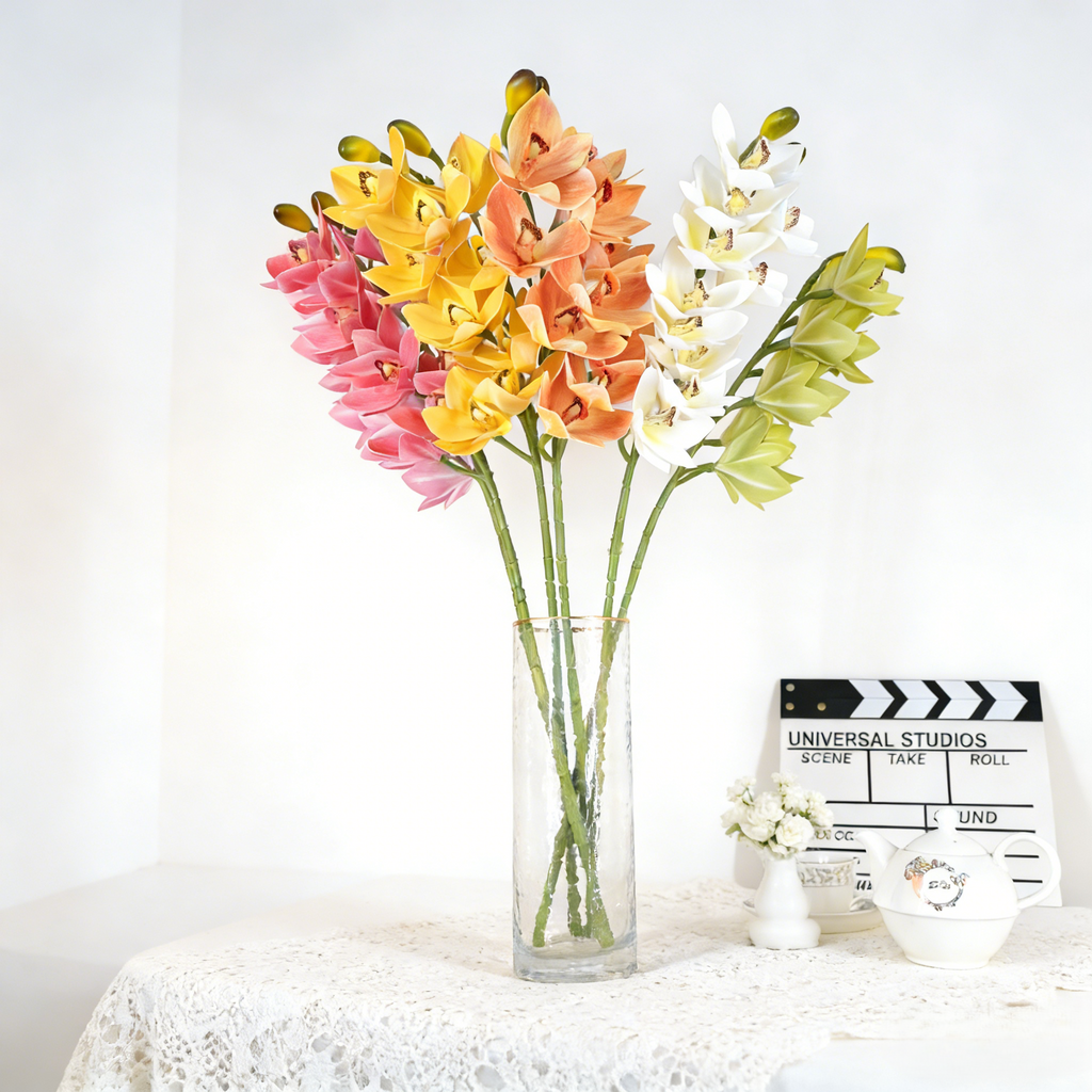 Cymbidium CF123
