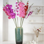 Butterfly orchid /1head CF128
