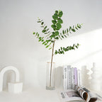 Muted Gray-Green Artificial Foliage Pack, 5 Sprigs with 60 Round Leaves for Minimalist Greenery - view 4