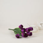 9 auspicious tulips D25001