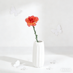 Thin-stemmed Solitary Carnation Picks, Varied Pastel Shades with One Delicate Bloom for Dainty Floral Accents - view 8