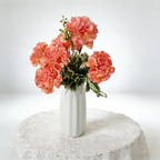 Carnation 7heads G1012