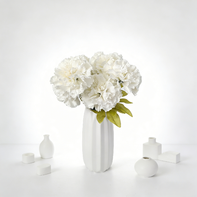 Carnations-G1013