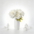 Carnations-G1013
