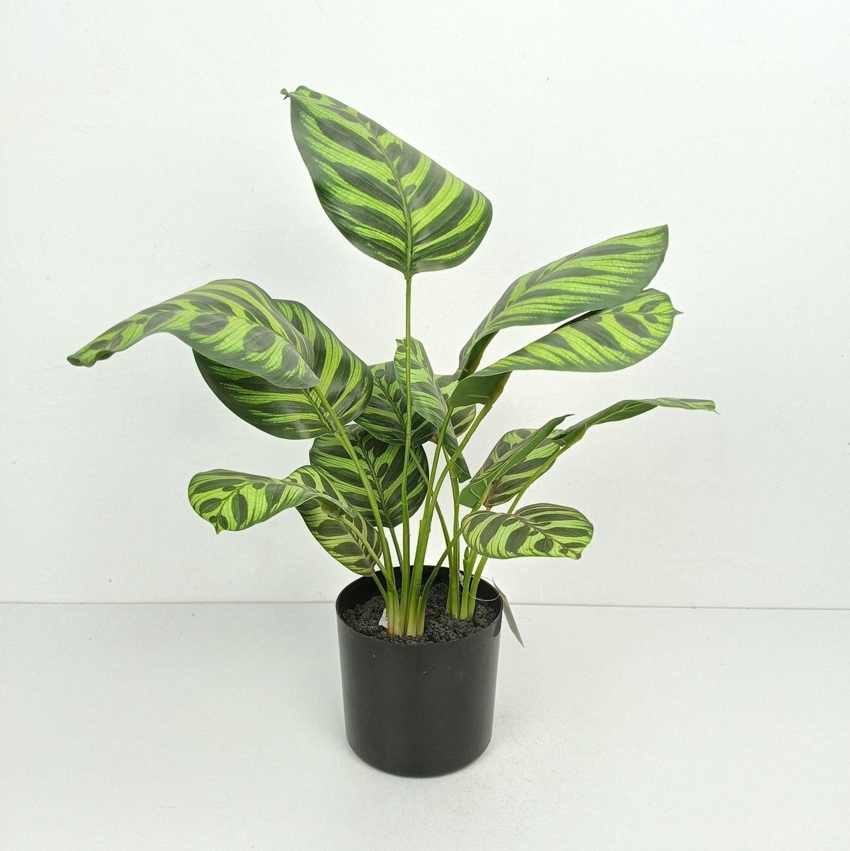 Artificial eucalyptus potted plant PH2025-L006