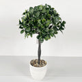 Artificial rubber tree potted plant PH2025-L009