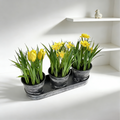 Artificial Mini Conjoined Potted Plant PH2025-L015