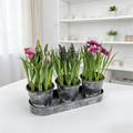 Artificial Mini Conjoined Potted Plant PH2025-L016