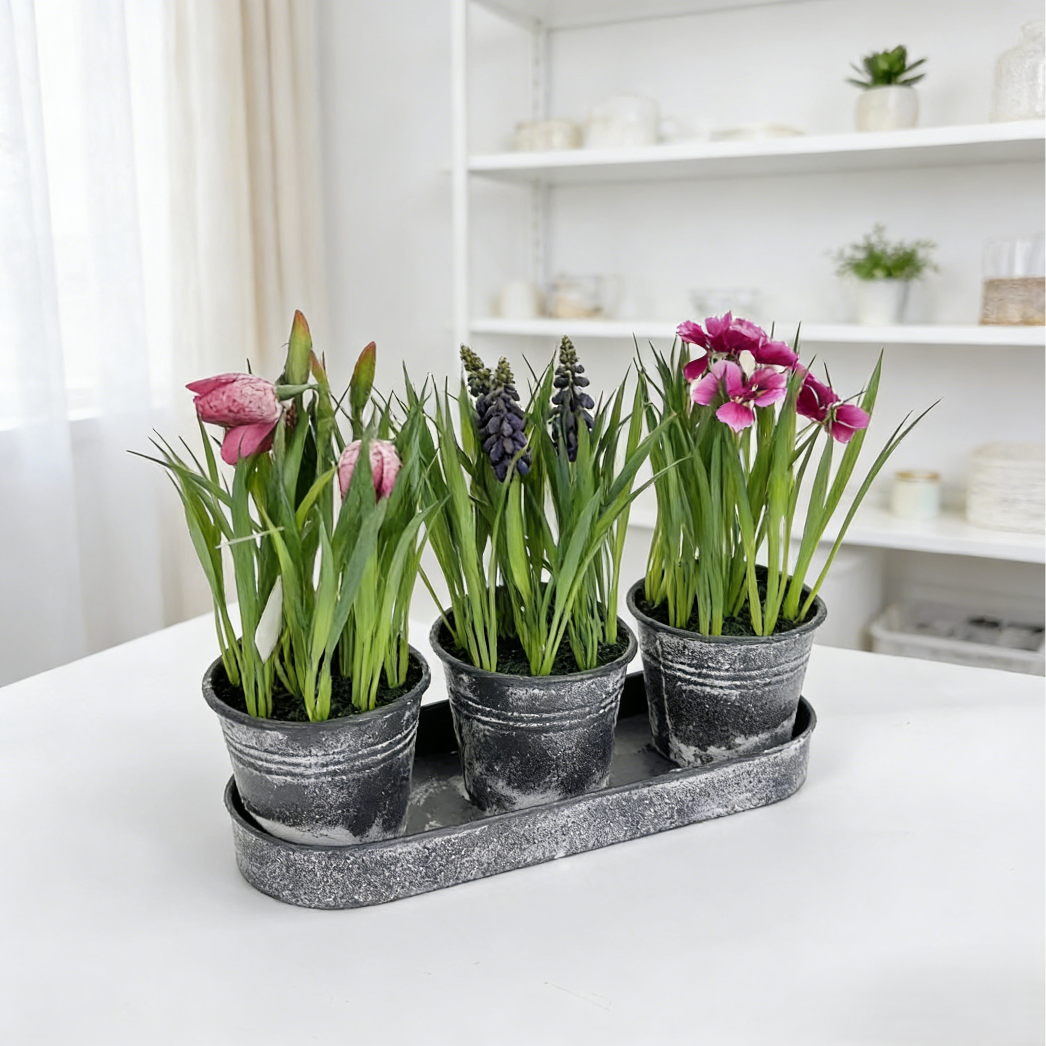 Artificial Mini Conjoined Potted Plant PH2025-L016