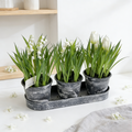 Artificial Mini Conjoined Potted Plant PH2025-L017