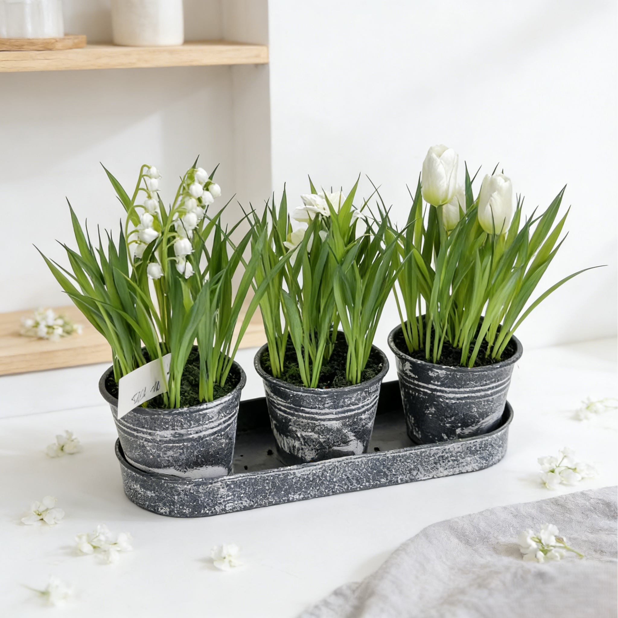 Artificial Mini Conjoined Potted Plant PH2025-L017