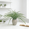 Artificial Mini Potted Plants PH2025-L018