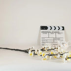 Plum blossom branches V1007