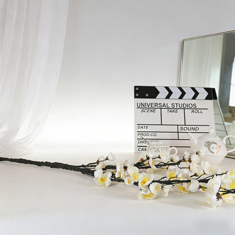 Plum blossom branches V1007