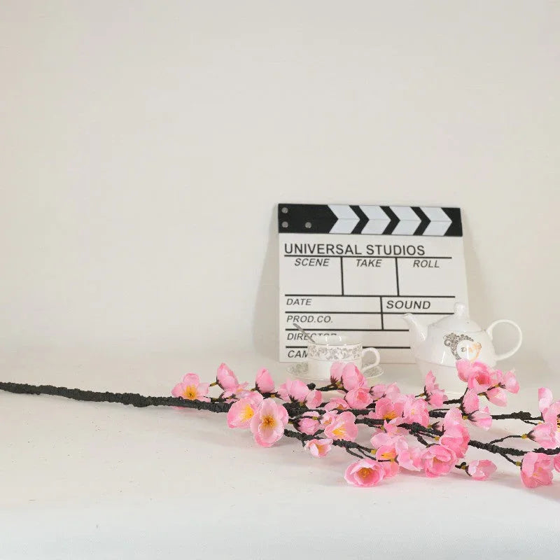 Plum blossom branches V1007