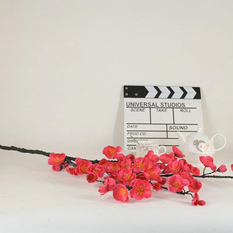 Plum blossom branches V1007