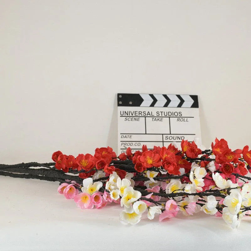 Plum blossom branches V1007